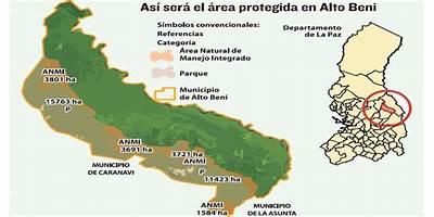 ALTO BENI