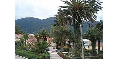 CHAJLAYA B