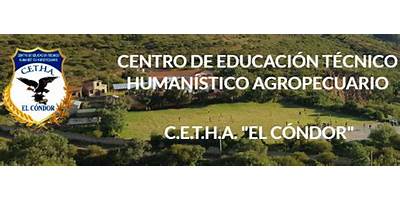EL CONDOR ADULTOS