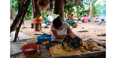 MANIQUI TSIMANE