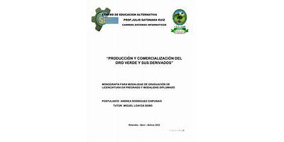 PROF. JULIO SATONAKA RUIZ