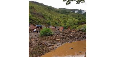 TIPUANI