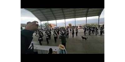 BUENA VISTA LIBERTAD A