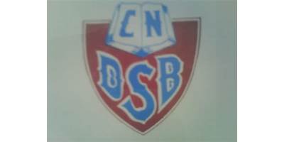 DANIEL SANCHEZ BUSTAMANTE