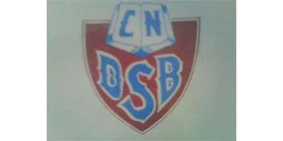 DANIEL SANCHEZ BUSTAMANTE