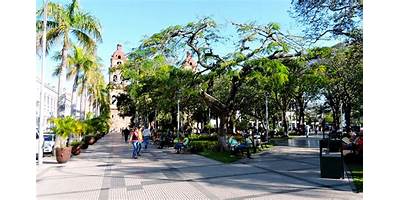 EL RETOÑO A