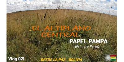 PAPEL PAMPA