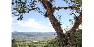SANTIAGO DEL VALLE
