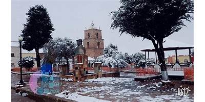 CALAMARCA