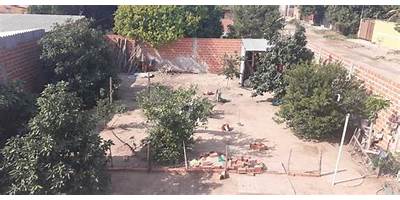 UNION TERRADO B