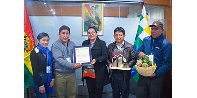 ALTO MARCO ANTONIO