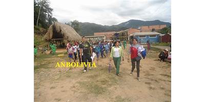 ALTO SIGUANI