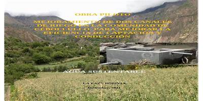 CEBOLLULLO