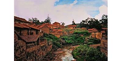 CENTRO REVITO