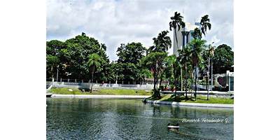 EL ARENAL C