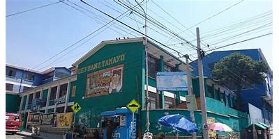 FRANZ TAMAYO DE SANTIAGO K
