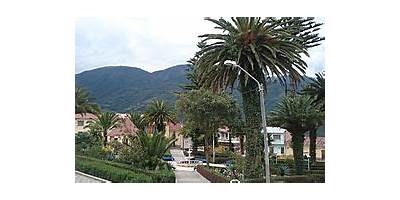 LACAYANI