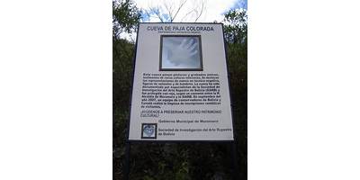 PAJA COLORADA