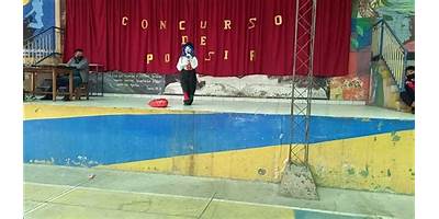 RICARDO PRUDENCIO ARIAS