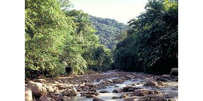 SANTA ROSITA DE AMBORO