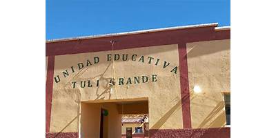 TULI GRANDE