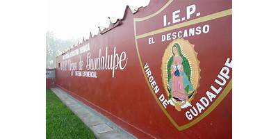 VIRGEN DE GUADALUPE